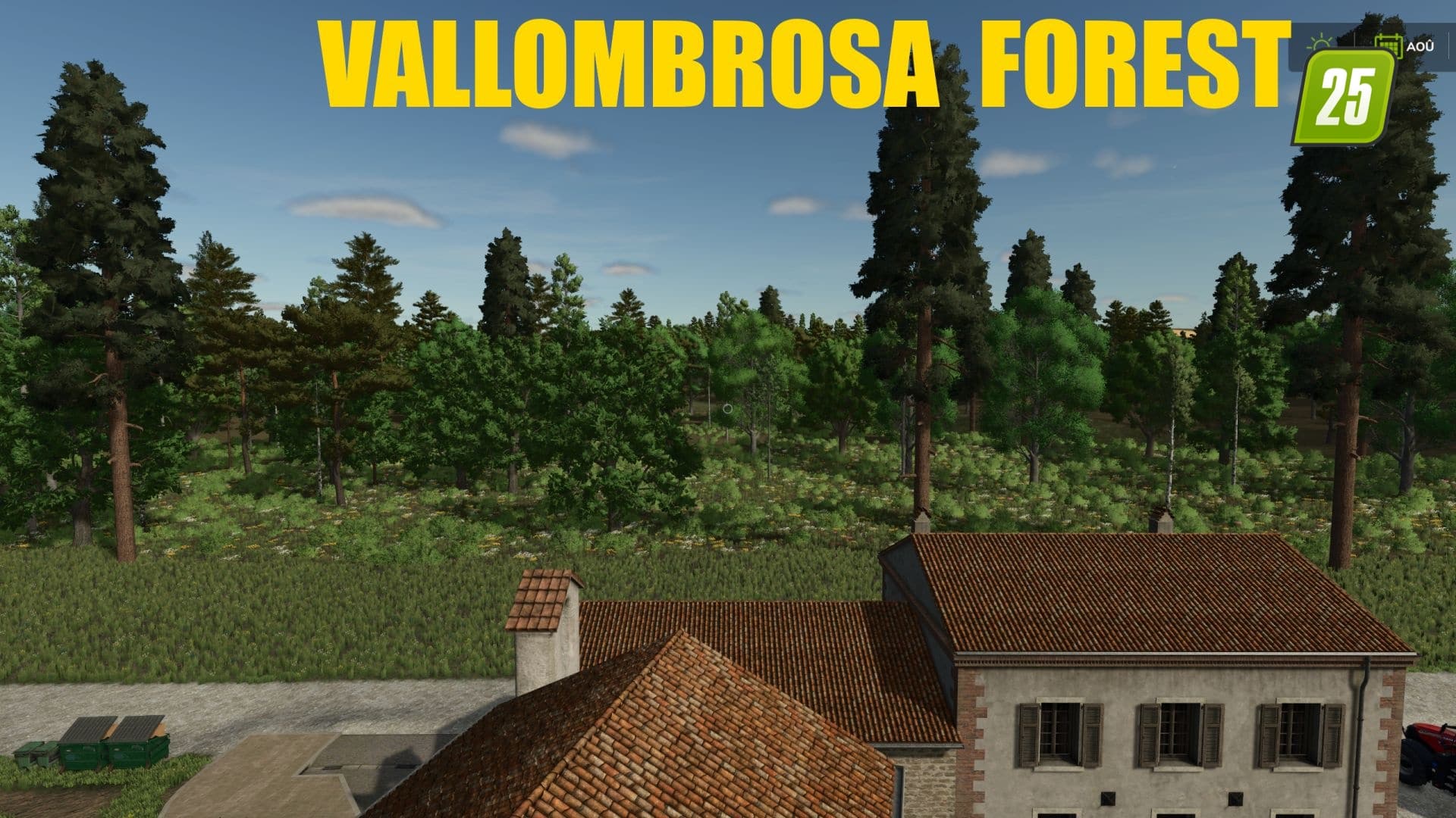 Vallombrosa Forest2 (1)
